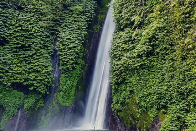 Cascade en Indonésie