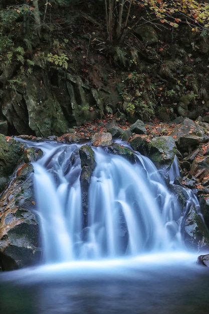 Photo la cascade de kamyanka dans les montagnes des carpates