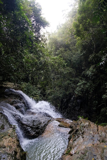 Photo la cascade de khun si à samui, en thaïlande, photo verticale