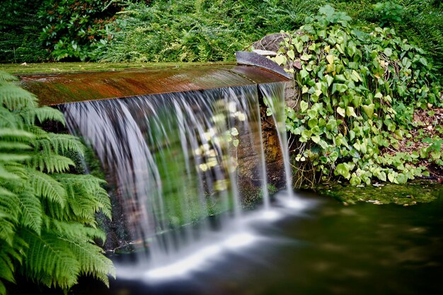 Photo la cascade de kleiner