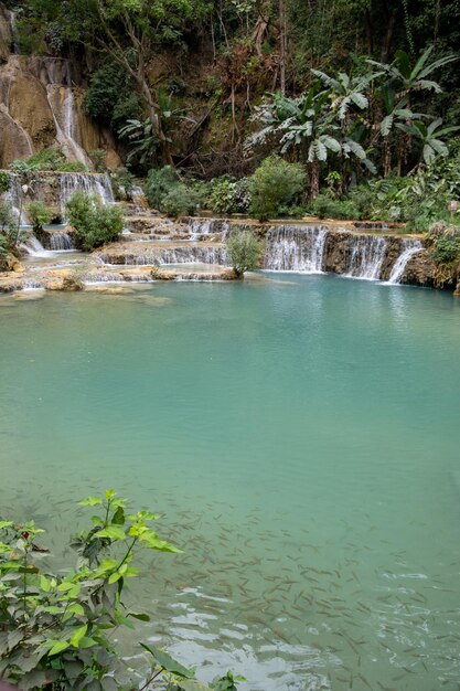 La cascade de Kuang Si Lung Prabang au Laos