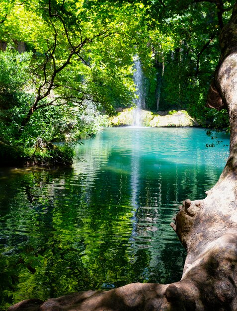 Cascade de Kursunlu dans un parc naturel