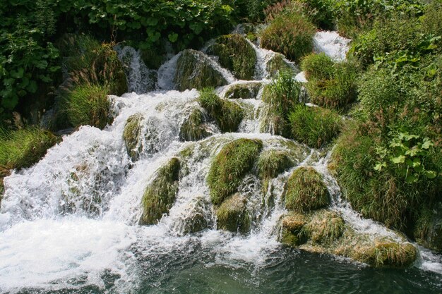 Cascade, lacs de Plitvice, Croatie, Europe. Étangs et chutes dans la végétation verte