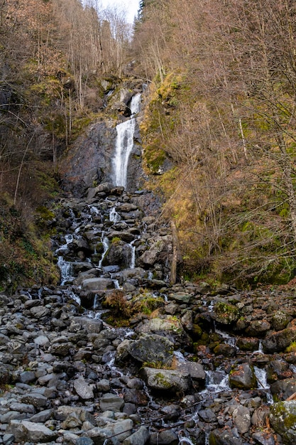 La cascade laiteuse est un objet naturel pittoresque sur le territoire de la réserve de Ritsa en Abkhazie