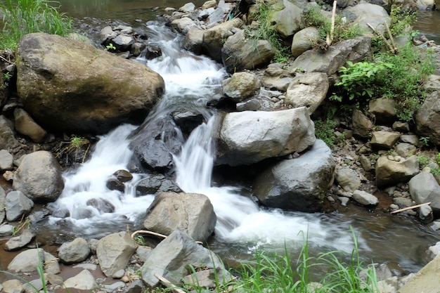 Cascade de Madakaripura