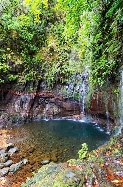 Cascade sur Madère