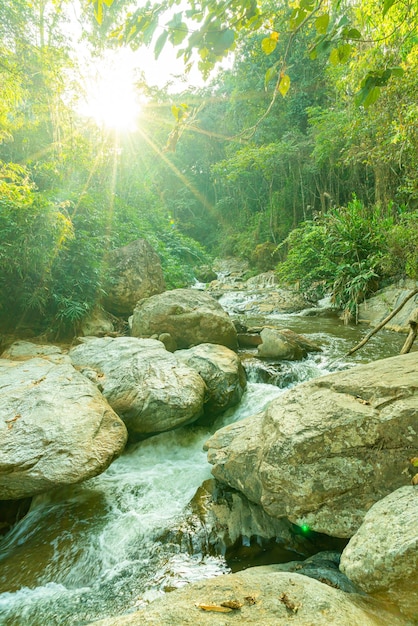 Cascade de Mae Sa en Thaïlande