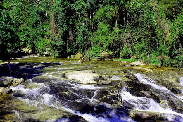 Cascade de Maeya chute d&#39;eau à Chiang Mai Thaïlande