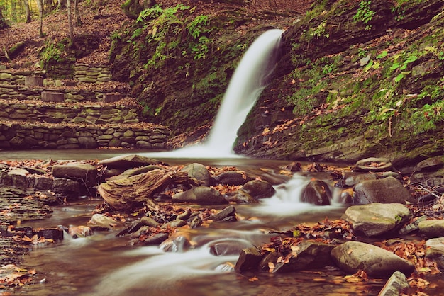 Cascade de montagne d'automne