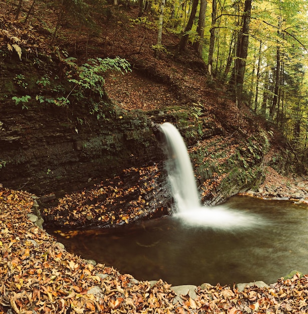 Cascade de montagne d'automne