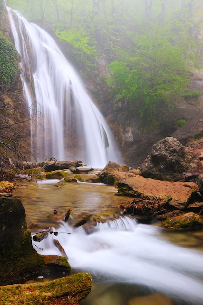 Cascade de montagne entourée de plantes vertes