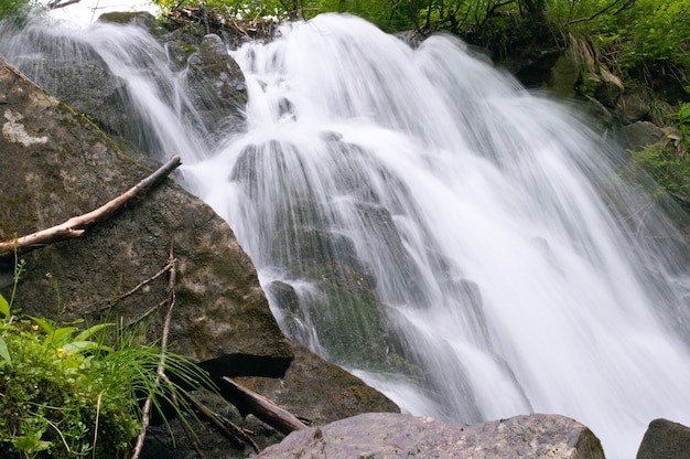 Cascade de montagne d'été