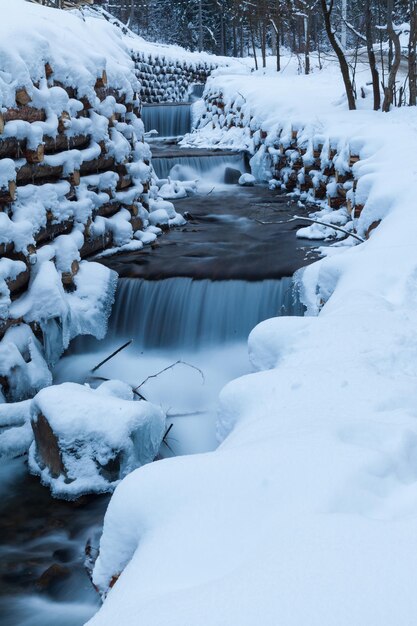 Cascade de montagne d'hiver Scène de neige Paysage de cascade de montagne enneigée Cascade de montagne d'hiver dans la cascade de Shipot Carpates Ukraine