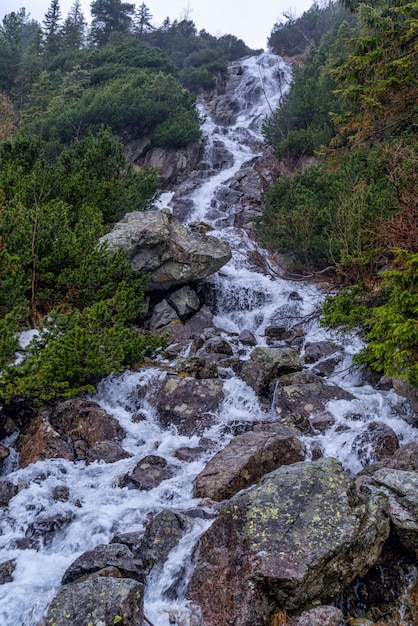 Cascade de montagne par temps pluvieux pluvieux, Pologne