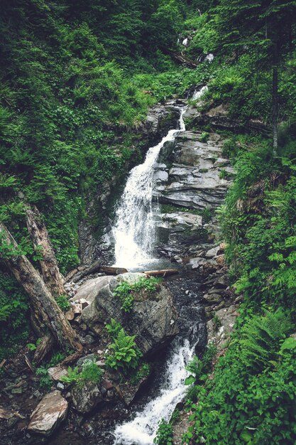 Photo cascade de montagne parmi les pierres herbe et fougères paysage forestier étonnant canyon de la rivière mzymta