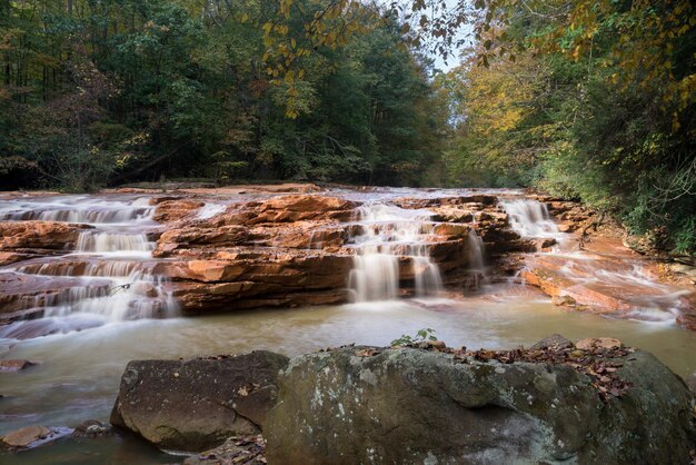 Cascade sur Muddy Creek près d'Albright WV