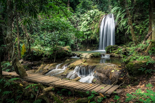 Cascade nature en saison des pluies