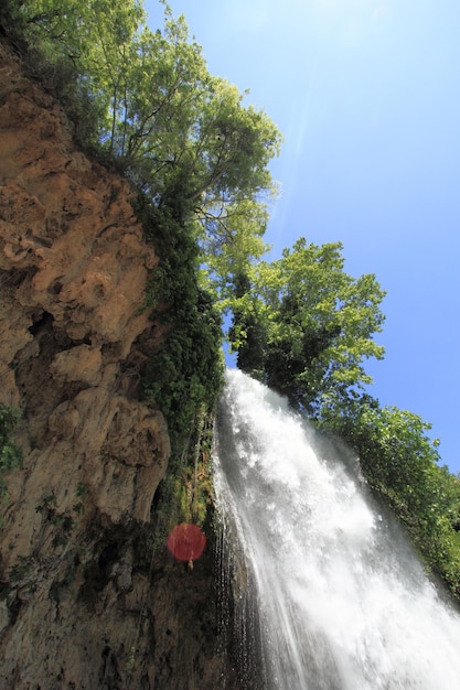 Cascade naturelle dans la forêt verte