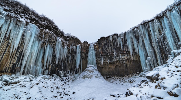 Cascade noire de Svartifoss islande complètement gelée avec des stalactites bleuâtres et de la neige