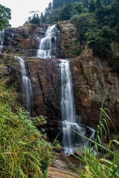 Cascade à nuwara elia srilanka