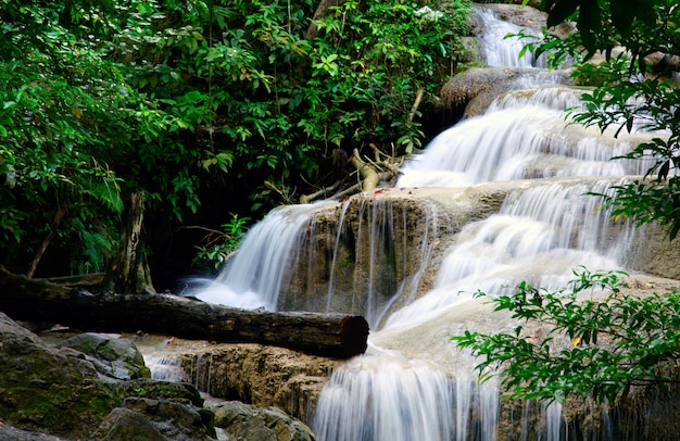 Cascade de paysage dans une forêt