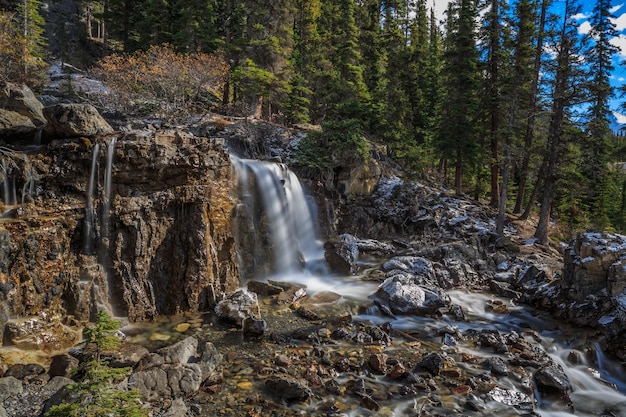 Cascade près de Icefields Parkway Alberta Canada