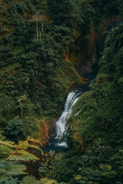 Une cascade à purworejo indonésie