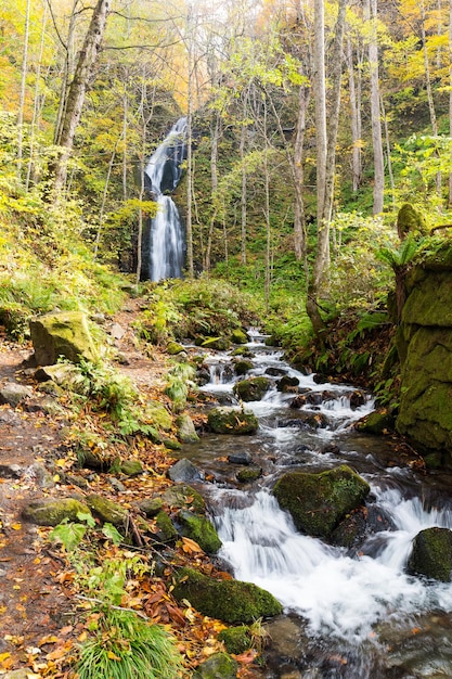 Cascade de Ruisseau de montagne Oirase