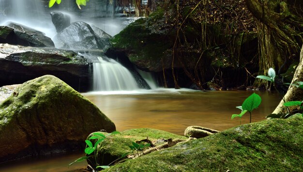 cascade samrongkiat dans la nature, district de khunhan, province de sisaket, thaïlande