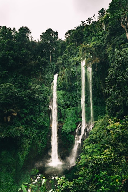 Cascade de Sekumpul à Bali entourée de forêt tropicale