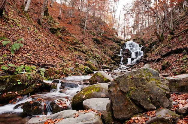 Cascade Shypit sur Borzhava, village des Pylypets dans les Carpates. Ukraine. L'Europe . Incroyable cascade du monde dans la forêt d'automne. Beauté du monde.