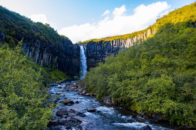 Cascade de Svartifoss dans le parc national de Skaftafell Vatnajokull, Islande avec paysage spectaculaire vert