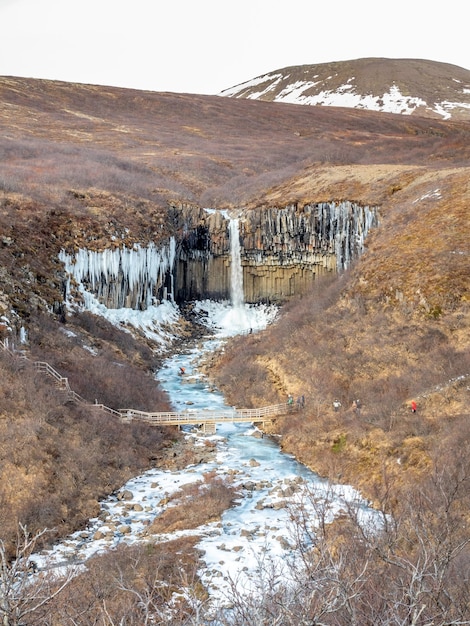 La cascade de Svartifoss est l'un des points de repère uniques en Islande situé dans le parc national de Vatnajokull comme une oasis dans le gel de l'eau de la plaine de sable de larve noire en hiver