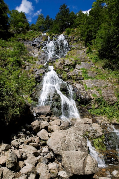 Cascade de Todtnauer dans la Forêt Noire