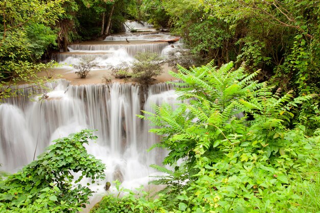 Cascade tropicale