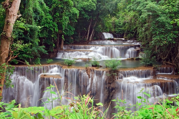 Cascade tropicale