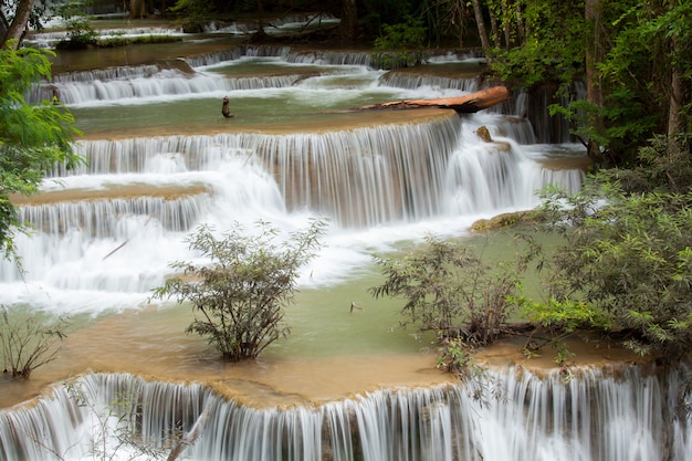 Cascade tropicale