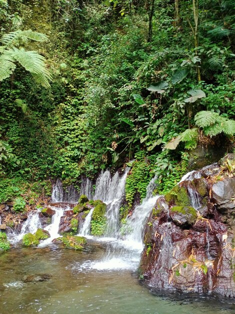 Photo une cascade