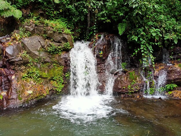 Photo une cascade