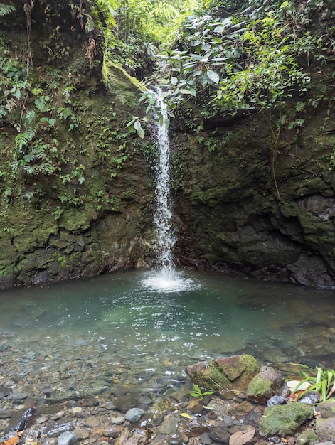 Cascades dans le parc national de Santa Fe au Panama