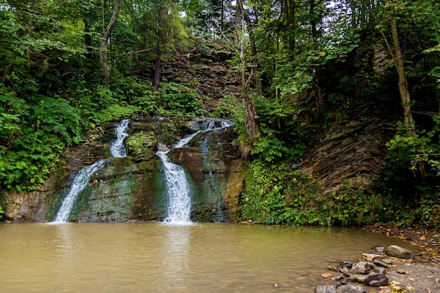 Photo cascades forestières provenant de rivières de montagne