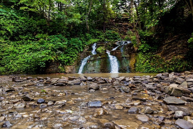 Cascades de forêt dans les montagnes