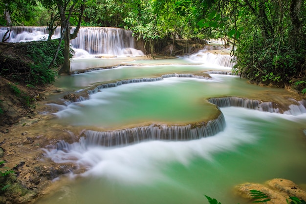 Cascades de Kuang Si, Luang Phrabang, Laos.