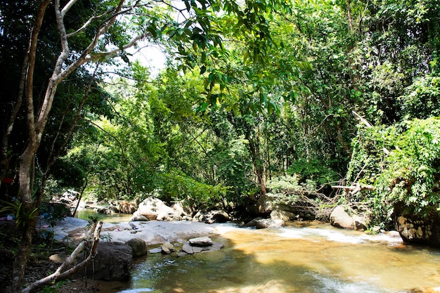 Photo cascades de namtok khao khram dans la forêt de jungle de montagne du parc national de khao pu khao ya pour les voyageurs thaïlandais qui voyagent, visitent et se reposent, se détendent, jouent à la natation dans la ville de srinakarin à phatthalung en thaïlande