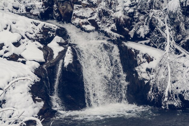 Cascades de ruisseau alimentées par le printemps d'hiver en hiver.