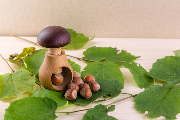 Casse-noix et noisettes en forme de champignon en bois