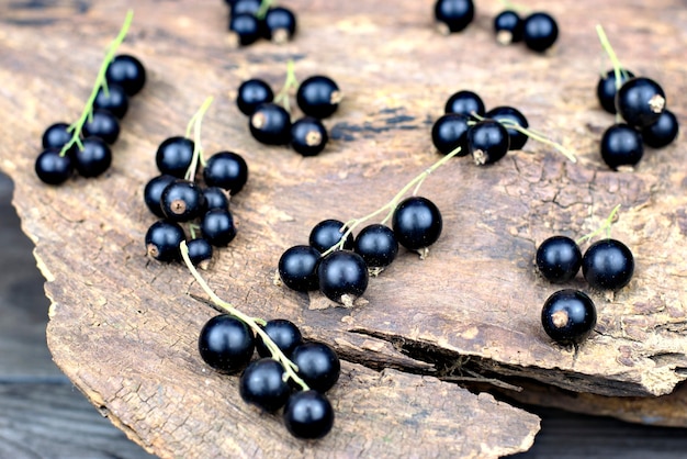 Cassis mûrs frais sur un fond en bois ancien.