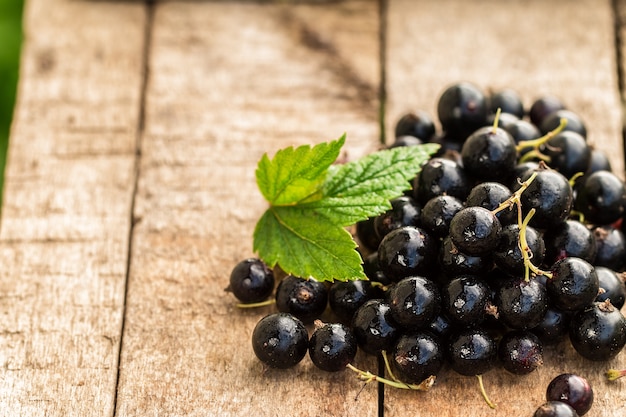 Cassis sur une table en bois