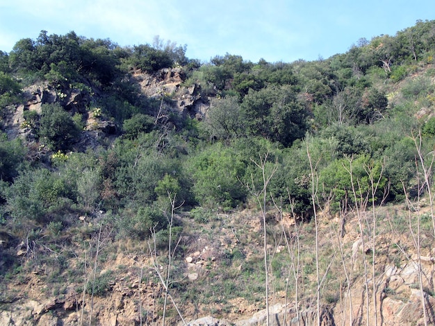 Catalogne. Pentes de montagne près de la route avec des pierres, des buissons épineux et des arbres. Le printemps