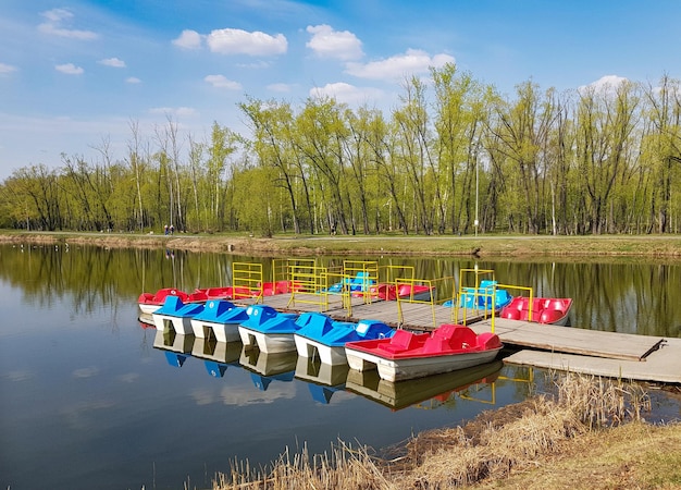 Des catamarans colorés se tiennent alignés sur la jetée en bois Surface calme du lac pour l'eau